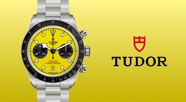 Rivenditore autorizzato Tudor Savona
